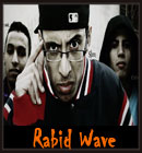 Rabid Wave - Inspiration